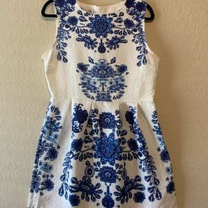 Blue/white dress